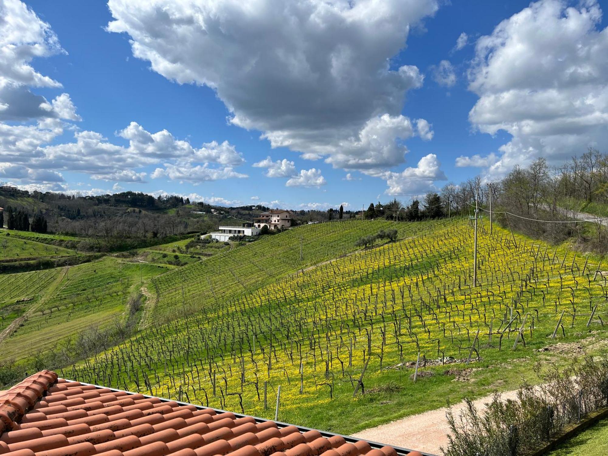 Podere Baratta Agriturismo E Cantina Collinello Exterior foto